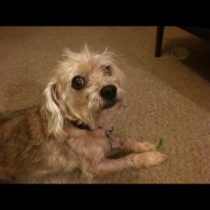 Meet your Posher, James